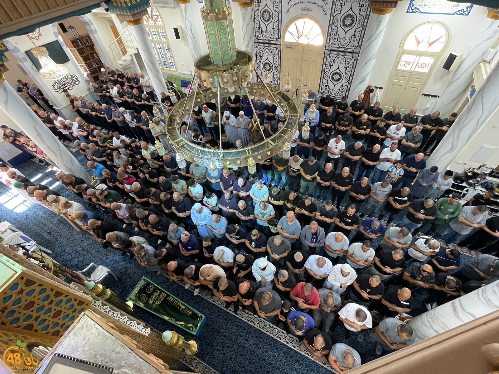 WhatsApp Image 2023-10-12 at 11.59.40 AM (1).jpeg